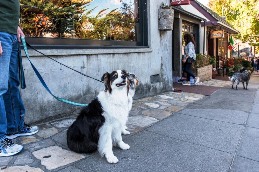 3770 Stone'S Throw Home Carmel-by-the-Sea 외부 사진